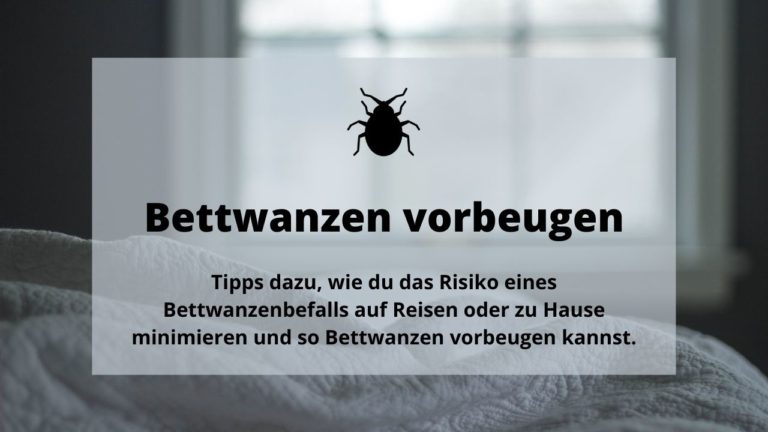 Alles ber Bettwanzen Blog Mit Eigenen Erfahrungen alles-ber-bettwanzen-blog-mit-eigenen-erfahrungen